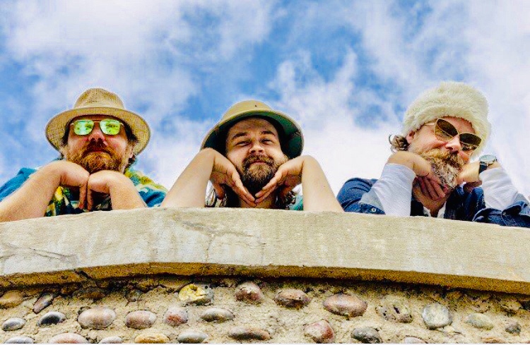 Revelers2 - The Trempealeau Hotel